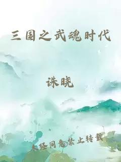 三國之武魂時代