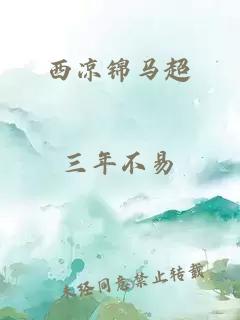 西涼錦馬超