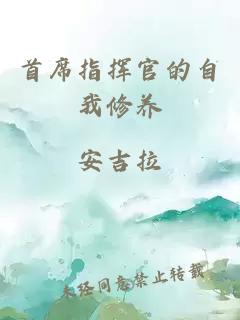 首席指揮官的自我修養(yǎng)