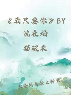 《我只要你》BY沈夜焰