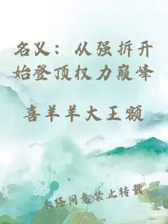 名義：從強(qiáng)拆開(kāi)始登頂權(quán)力巔峰
