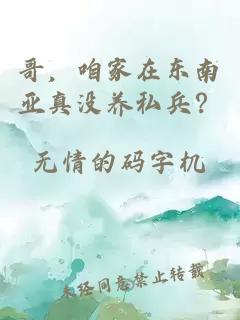 哥，咱家在東南亞真沒(méi)養(yǎng)私兵？