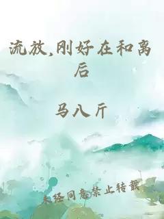 流放,剛好在和離后