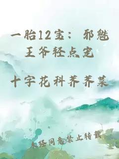 一胎12寶：邪魅王爺輕點寵