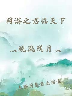 網(wǎng)游之君臨天下