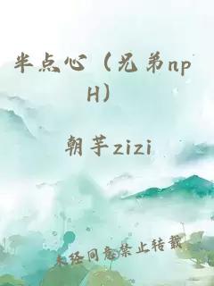 半點心（兄弟np H）