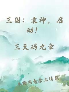 三國:袁神,啟動!