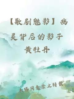 【歌劇魅影】幽靈背后的影子