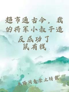 超市通古今,我的將軍小叔子造反成功了
