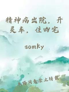 精神病出院，開靈車，住兇宅