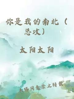 你是我的南北（總攻）