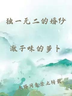 獨一無二的婚紗