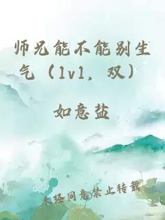 師兄能不能別生氣（1v1，雙）
