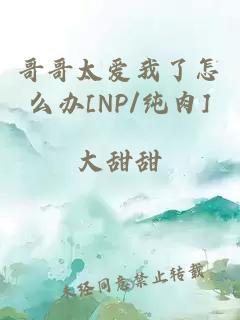哥哥太愛我了怎么辦[NP/純肉]