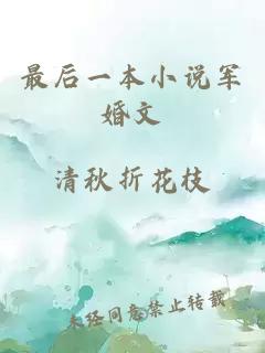 最后一本小說軍婚文