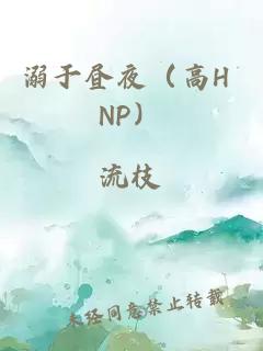 溺于晝夜(高H NP)