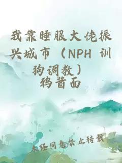 我靠睡服大佬振興城市（NPH 訓狗調教）
