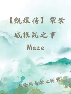 【甄嬛傳】紫禁城銀亂之事