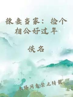 辣妻當家：撿個相公好過年