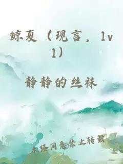 鯨夏（現言，1v1）