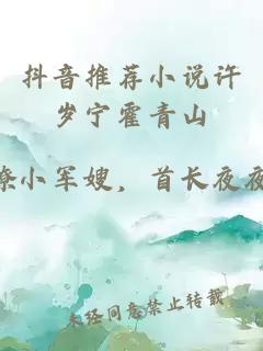 抖音推薦小說(shuō)許歲寧霍青山