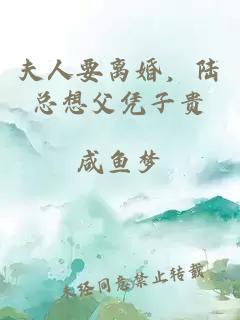 夫人要離婚,陸總想父憑子貴