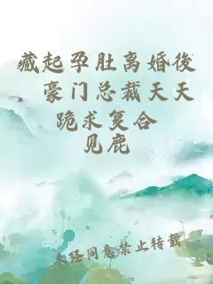 藏起孕肚離婚後，豪門總裁天天跪求復合