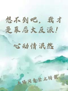 想不到吧，我才是幕后大反派！