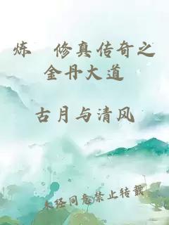 煉炁修真傳奇之金丹大道