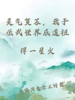 靈氣復(fù)蘇，我于低武世界成道祖