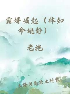 霸婿崛起（林知命姚靜）