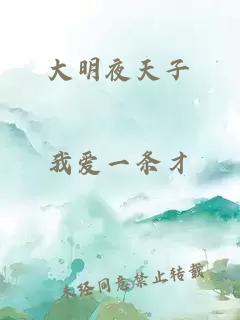 大明夜天子