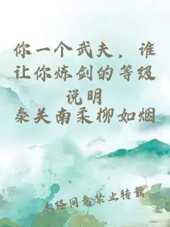 你一個武夫,誰讓你煉劍的等級說明