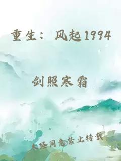 重生：風起1994