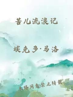 苦兒流浪記
