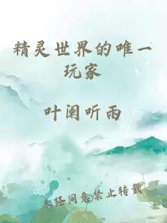 精靈世界的唯一玩家