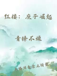 紅樓:庶子崛起