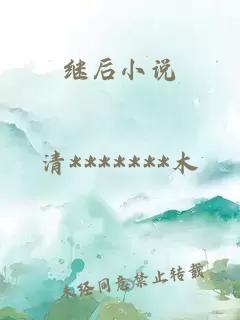繼后小說