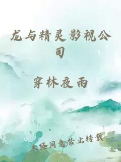 龍與精靈影視公司