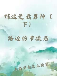 綜這是我男神（下）