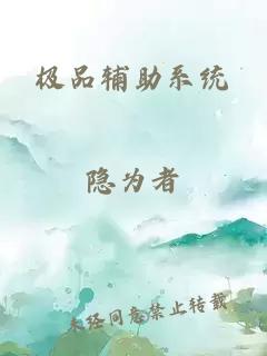 極品輔助系統(tǒng)