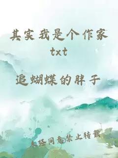 其實我是個作家txt