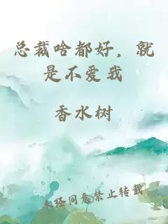 總裁啥都好，就是不愛我